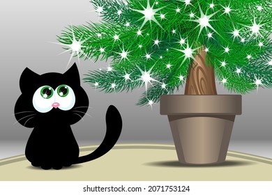 Curious black cat is sitting on the carpet under Christmas tree and looking on the shining stars on it