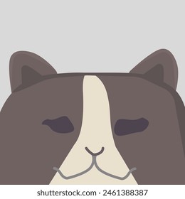 Curious Black Ear Cat with Off-White and Charcoal Grey Patches. Cat with Off-White and Charcoal Grey Patches Curious Black Ear 