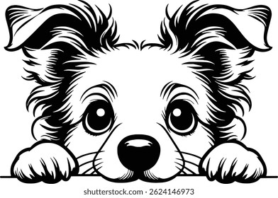Curious Border Collie Puppy Peeking Over