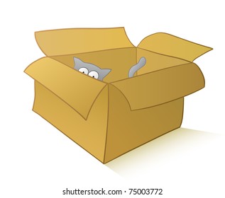 Curious cat in a carton box