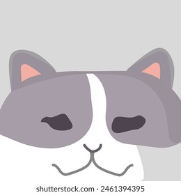 Curious Cat with Dusty Rose and Pure White Patches. Cat with Dusty Rose and Pure White Patches Curious 