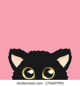 Curious cat hides and peeps. Sticker 