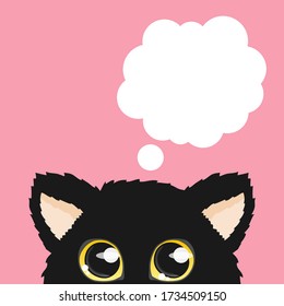 Curious cat hides and peeps. Sticker on a car or a refrigerator, t-shirt design and book cover