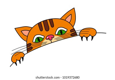 curious cat looking what`s on the table