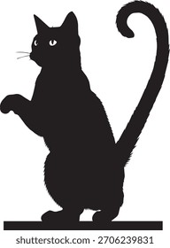 El gato curioso alcanza la luz