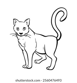 Curious cat with its tail raised stands and looks. Free hand Fat cute domestic pet illustration. Trendy doodle icon. Sketch style crooked vector.