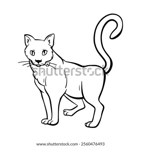 Curious cat with its tail raised stands and looks. Free hand Fat cute domestic pet illustration. Trendy doodle icon. Sketch style crooked vector.
