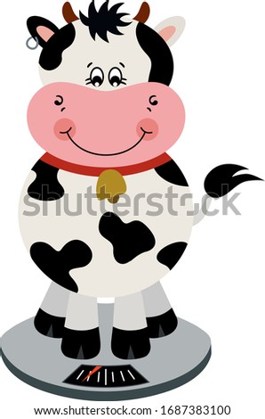 Curious cute cow weighing himself
