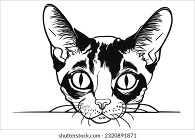 Curious Devon Rex cat playfully peeks, captivating with its adorable charm. This delightful feline companion showcases a unique and curly coat.