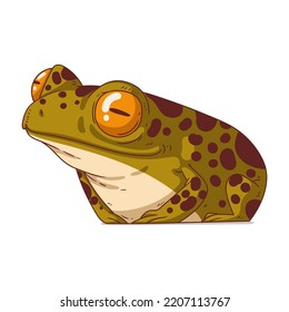 A Curious Frog, isolated vector illustration. Cute cartoon picture of a froglet looking at something with interest. An animal sticker. Simple drawing of a calm toad on white background. An amphibian