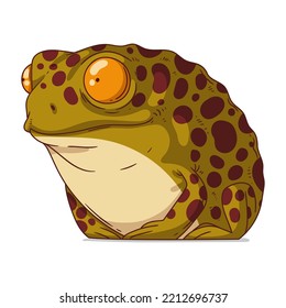 A Curious Frog  isolated vector illustration  Cute cartoon picture froglet looking at something and interest  An animal sticker  Simple drawing calm toad white background  An amphibian