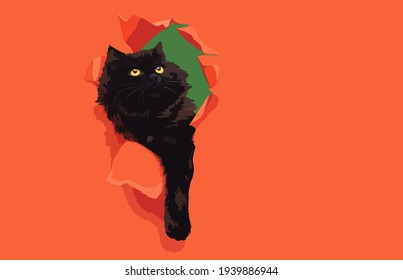 Un curioso gato negro y gracioso rompió el papel rojo y miró hacia arriba. Copiar espacio. Ilustración vectorial. Fondo rojo y verde.