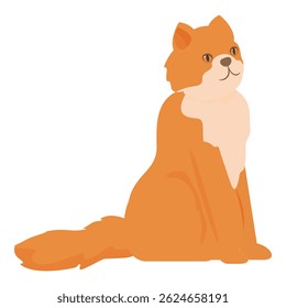 Curious ginger cat sitting and waiting, isolated on a white background