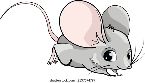 
curious mouse runs about his business