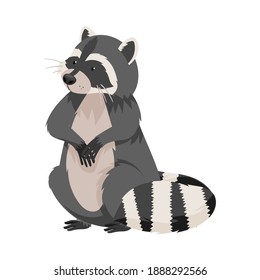 Curious Raccoon Animal with Dexterous Front Paws Sitting on Hind Legs Vector Illustration