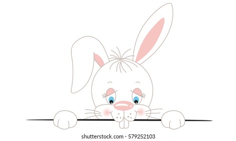 Curious white bunny peeking out
