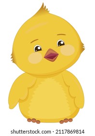 Curious yellow chick sits. Cute bird with pink cheeks and big eyes isolated on white background.