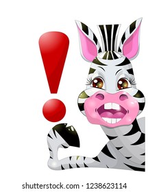 The curious zebra looks. The picture on a white background.The zebra holds the exclamation mark.