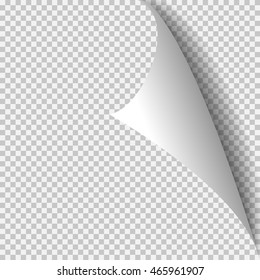 Curl corner paper template. Transparent grid. Empty isolated background page.