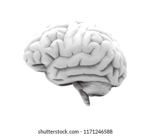 Curl engraving human brain side view vector illustration with black and white color