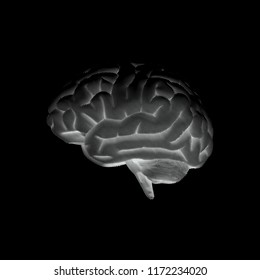 Curl engraving human brain side view vector illustration with negative black and white color