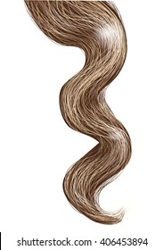 curl isolated on white 