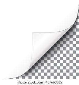 curl parer corner 