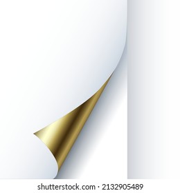 A curl of a sheet of metallized paper. Vector illustration of a curl of a golden foil sheet. A sketch for creativity.