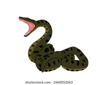 Curl Snake Angriff Beute Vektorillustration isoliert auf weißem Hintergrund. Anaconda Schlangenabwehr Pose Bedrohung für den Feind. Pythonräubertier mit muskulärem Körperreptilientier. Gefährliches Boot. Offene Kiefer.