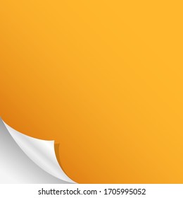 Curled blank paper corner background. Vector illustration