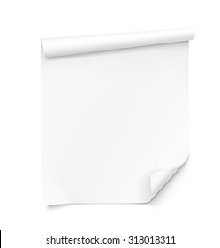 Curled blank paper sheet on white background. Vector illustration