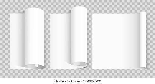 Curled blank paper sheet. Various scroll paper on transparent background.  Design element  poster, banner, invitation, booklet.  Vector illustration