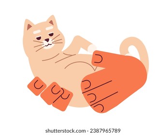 Curled up cat holding cartoon character hands illustration. Shelter adopted pet. Kitten cute 2D vector image isolated on white background. Animal upside down in hands editable flat clipart color