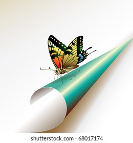 Curled corner with butterfly, vector illustration