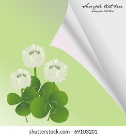 Curled corner card with clovers for St. Patrick's Day