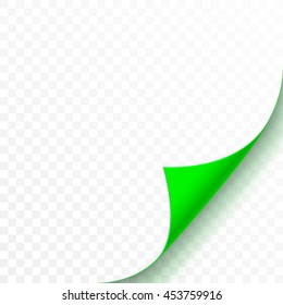 Curled corner of green paper. Realistic vector illustration with transparent shadow. 