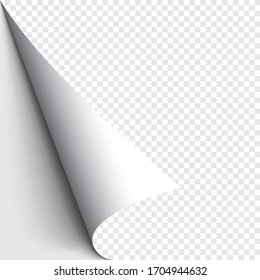 Curled Corner Of Paper On Transparent Background With Soft Shadows, Realistic Paper Page Mock Up.