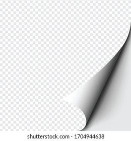 Curled corner of paper on transparent background with soft shadows, realistic paper page mock up.