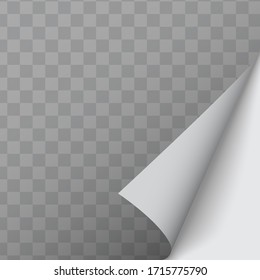 Curled Corner Of Paper On Transparent Background With Shadows, Realistic Paper Page Mock Up.