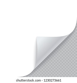 Curled corner of paper with shadow. Vector illustration