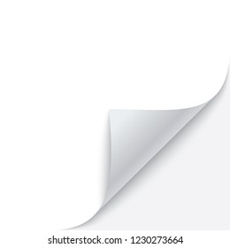 Curled corner of paper with shadow. Vector illustration