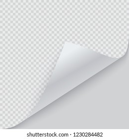 Curled corner of paper with shadow. Vector illustration