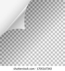 Curled corner with shadow on transparent background. Realistic Vector