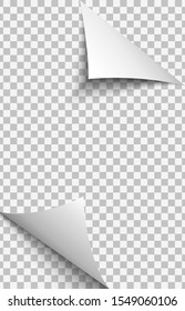 Curled corners of transparent paper sheet in realistic style. Vector illustration