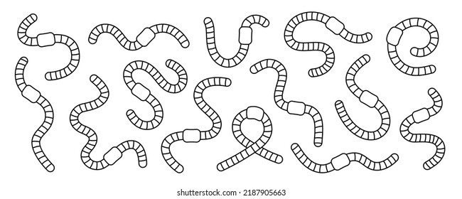 Curled earthworms outline set. Terrestrial worms line banner. Invertebrate crawling worms illustration. Collection of curled earthworms