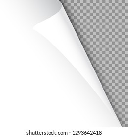 Curled edge of the paper. Flipped corner.