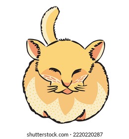 curled up fluffy cat hand drawn vector