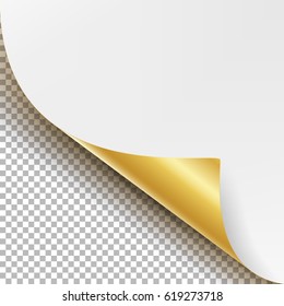 Curled Golden Metallic Corner Vector. White Paper with Shadow Mock up Close up Isolated on Transparent Background
