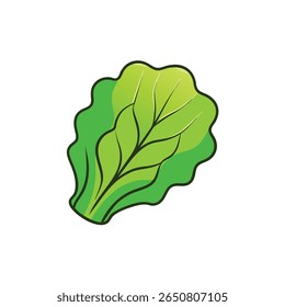 Alface enrolada folha verde vibrante vegetal fresco orgânico ilustração Vetor