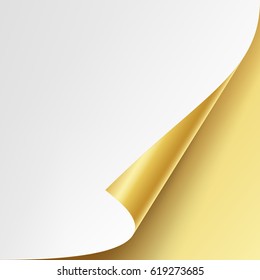 Curled Metallic Corner Vector. Realistic Paper With Soft Shadow Mock Up Close Up Isolated.